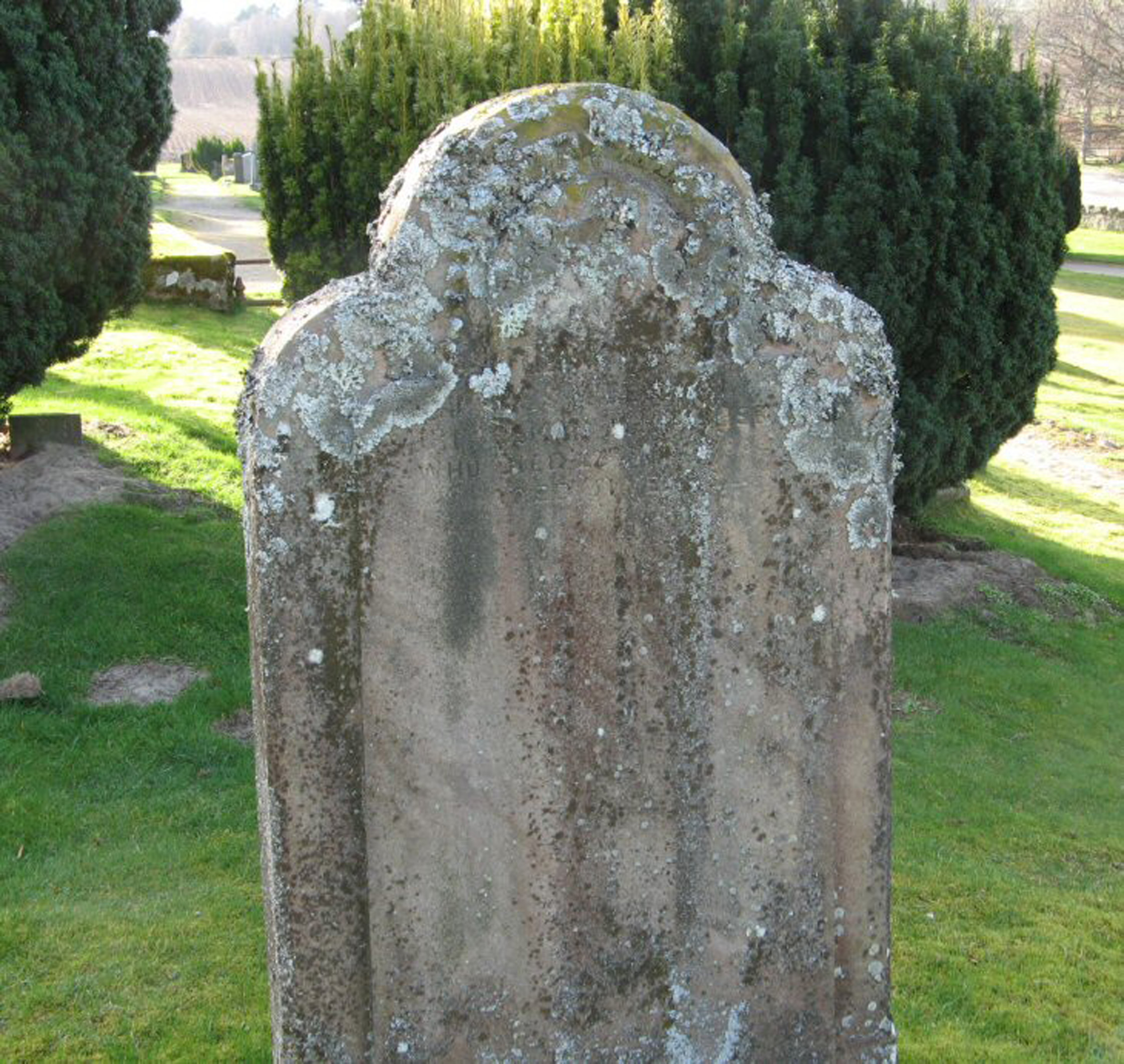 Photo of headstones/James McLennan died 1885 MI Fodderty